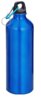 blue bottle.jpg