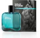 Wild Stone EDGE Perfume Body Spray - For Men  (50 ml)