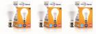 Wipro 15 W Standard B22 LED Bulb  (White, Pack of 3)