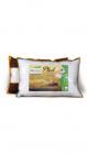 Recron Plush Pillow (Set Of 1)
