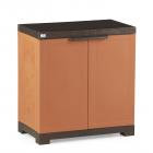 Nilkamal Freedom 09 Mini Shoe Cabinet (Rust and Weather Brown)