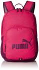 Puma 21 Ltrs Love Potion-Dark Purple Laptop Backpack (7358922)