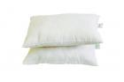 Recron 2 Piece Swiss Cotton Dream Pillow - 16"x24", White