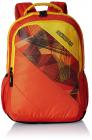 Flat 50% OFF On American Tourister Backpacks