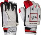 Prokyde Predator Batting Gloves (Boys, Multicolor)