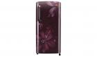 LG B201ASAN Direct-cool Single-door Refrigerator (190 Ltrs, 5 Star Rating, Scarlet Aster)