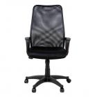 Woodness Wayne Office Chair (Glossy Finish, Black)