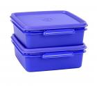 Signoraware Small Container Set, 850ml, Set of 2, Deep Violet