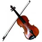 Musical Instruments Up To 50% cashback