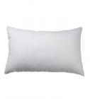 House This White Pillow- 27 x 18 Inches
