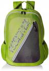 American Tourister Lime Green Casual Backpack