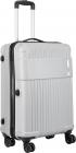 Safari  STELE 55 SILVER Cabin Luggage - 21 inch  (Silver)