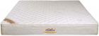 Springtek Euro Top Bonnel 8 inch King Bonnell Spring Mattress