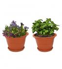 Brown Plastic 8 Inch Heavy Duty Planters Pots - Set of 2