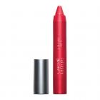 Lakme Absolute Lip Pout Matte Lip Color, Victorian Rose, 3.7g