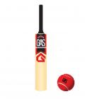 G.A.S Tapto Cricket Bat + Free Tennis Ball