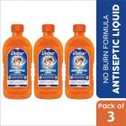 Dabur Sanitize Antiseptic Liquid | No Burn Formula Antiseptic Liquid  (750 ml, Pack of 3)