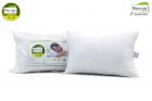 Recron Certified Dream Fibre Pillow - 40 x 61 cm, White, 2 Piece