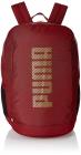 PUMA 32 Ltrs Pomegranate-Gold Laptop Backpack (7598703)