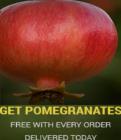 Free pomogranates on every order delivered today.