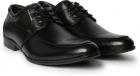 Flat 80% Off On Provogue Men