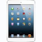 Apple 16GB iPad Mini with Wi-Fi (White & Silver)