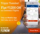 Flat Rs.1200  Off On Domestic Flight Bookings (4 PM to 10 PM)