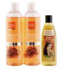 VLCC Hair Fall Control Shampoo (Buy 1 Get 1) and Ayurveda Hair Oil Combo