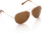 Petrol Aviator Sunglasses