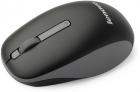 Lenovo N100 Mouse(Black)