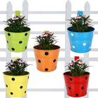 TrustBasket Set of 5 - Single Pot Railing Planter - Red,Yellow,Blue,Orange,Green