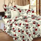 Story@Home Floral 100% Cotton Double Bedsheet