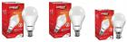 Eveready Base B22 14W Pack of 2 + 9W LED Bulbs (Cool Day Light)