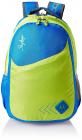 Skybags 25 Ltrs Blue Casual Backpack (BPLEO4BLU)