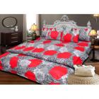JBG Home Store 100% cotton Elegant Floral Design Double Bedsheet, multicolor