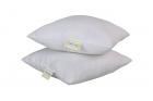 Recron Dream 2 Piece Fibre Cushion - 16"x16"