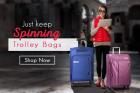 Minimum 40% Off + Extra 25% Off + Extra 200 Cashback On Safari Strolley