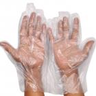 Lotus Disposable Gloves Plastic Cleaning, Gardening,Medical Salon PE(300 Gloves)