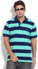 Flat 50% Off on T-shirts and Jeans
