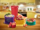 Polyset Food Saver Combi - 100 ml, 170 ml, 300 ml, 350 ml, 450 ml Plastic Fridge Container  (Pack of 5, Multicolor)
