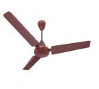 Havells Pacer 1200mm Ceiling Fan (Brown)