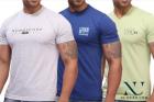 Pack of 3 T-Shirts for Men from Numero Uno (VMFNHZ16)
