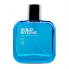 Wild Stone Hydra Energy Perfume Spray, 100ml