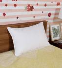 Fibre Cotton 16 x 24 Conjugated Vaccumed Packed Pillow by Sleepsutraa