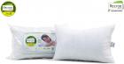 Recron Certified Dream Fibre Pillow - 41 cm x 61 cm, White, 2 Piece