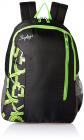 Skybags Polyester Black Casual Backpack (BPBRA11EBLK)