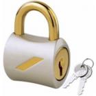 Godrej Mylocks Padlocks (Texture Brown)