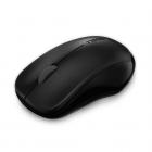 Rapoo 1620 Wireless Optical Mouse (Black)