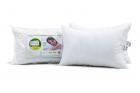 Recron Certified Dream Fibre Pillow - 43 cm x 69 cm, Pack of 2, White