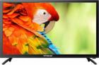 Polaroid 60cm (23.6 inch) HD Ready LED TV  (LEDP024A)